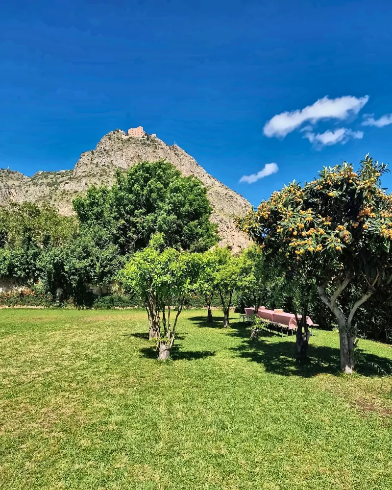 Il prato del giardino estivo, con gli alberi di nespole e il Castello Utveggio sullo sfondo